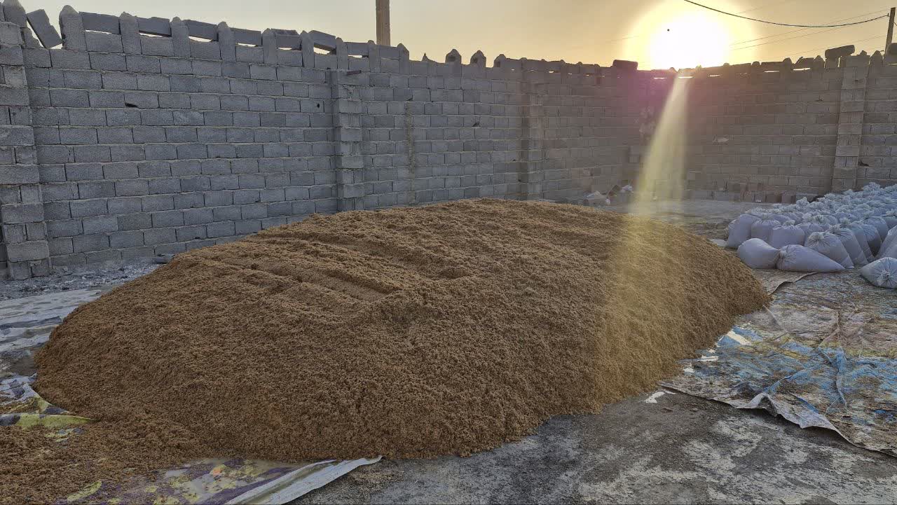 قیمت فروش تفاله جو ارزان