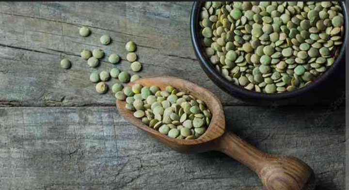 فروش عدس شهری درجه یک + قیمت مناسب