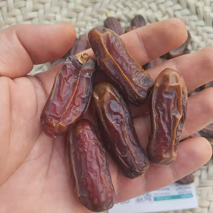 خرید فروش انواع خرما شاهانی عمده بهترین کیفیت درجه یک تازه برداشت