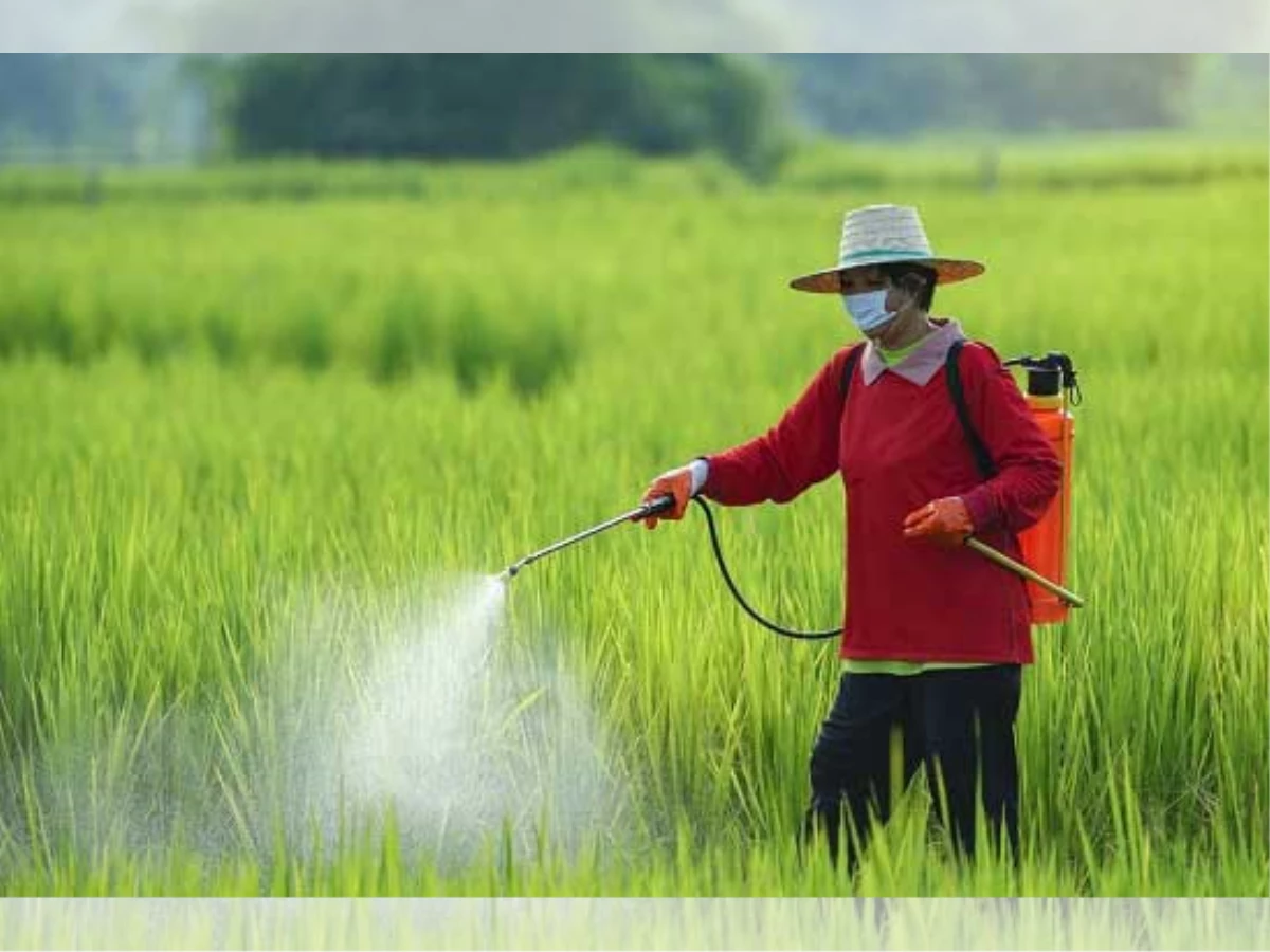 تصویر 2 از خرید و قیمت سمپاش دوشی موتوری بی واسطه از تولید کننده