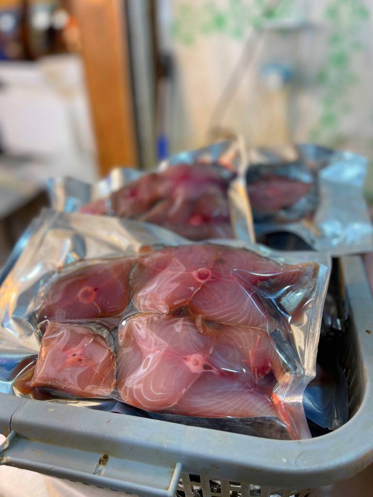 قیمت فیله ماهی شیر