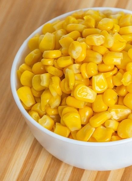 فروش عمده ذرت برزيلی علوفه ای دامی