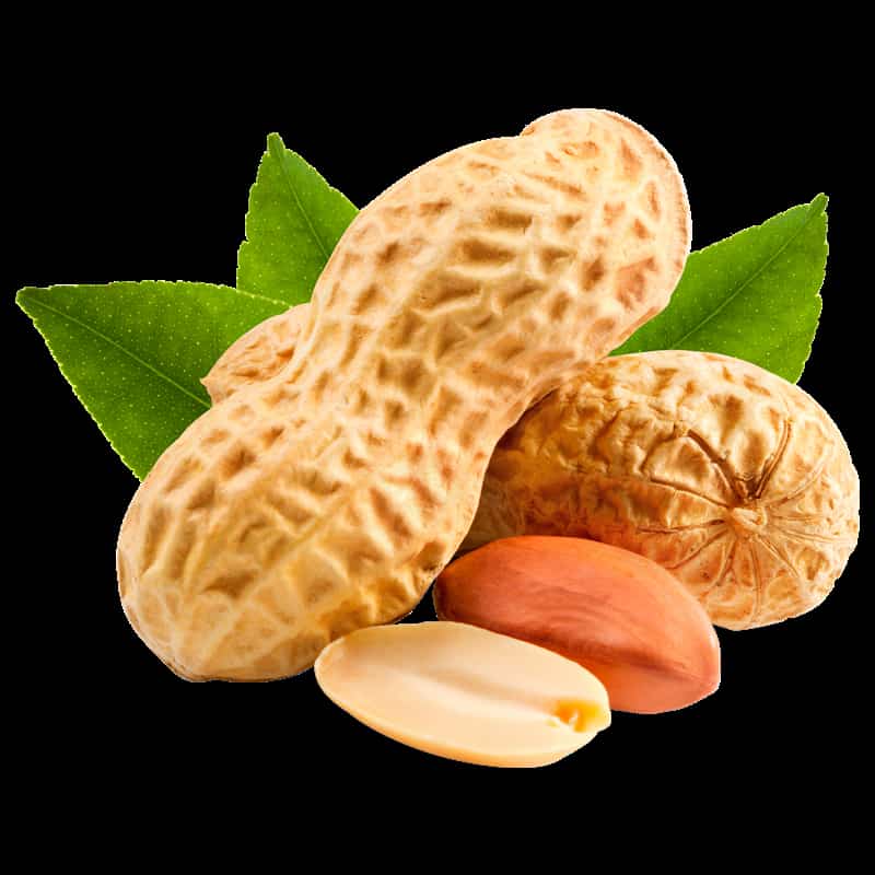 خرید بادام کیلویی + قیمت فروش استثنایی