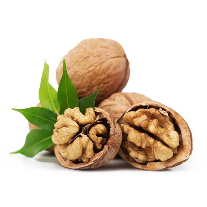 خرید و قیمت گردو پوست کاغذی + فروش عمده