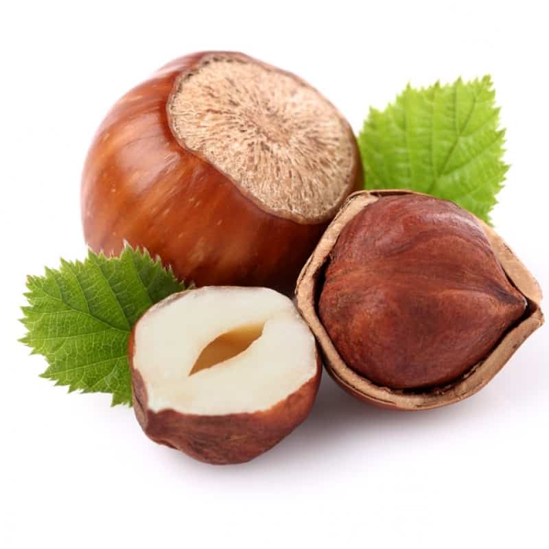 قیمت مغز فندق بوداده + خرید باور نکردنی