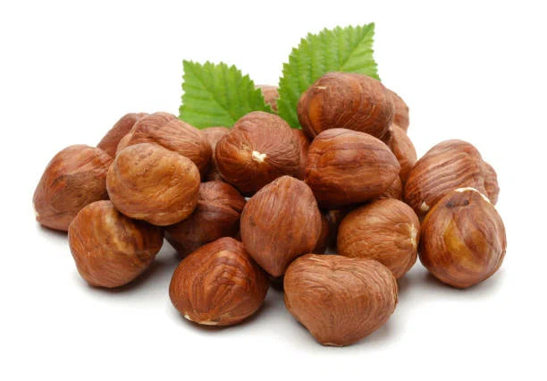 خرید و قیمت فندق تازه + فروش عمده