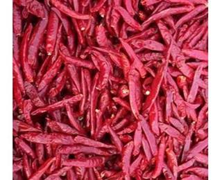 فروش عمده فلفل قرمز صادراتی محصولی اقتصادی و پر کاربرد
