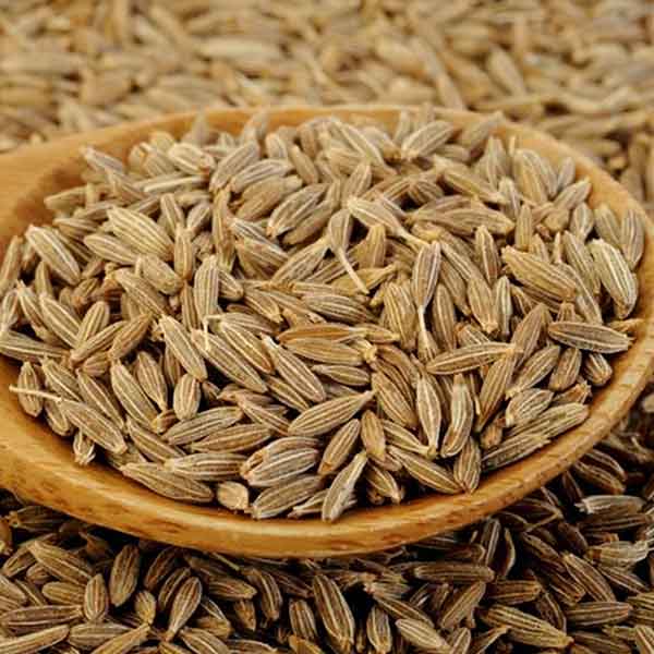 خرید و فروش عمده زیره سبز + ادویه‌ ای با طعم و خواص بی‌ نظیر