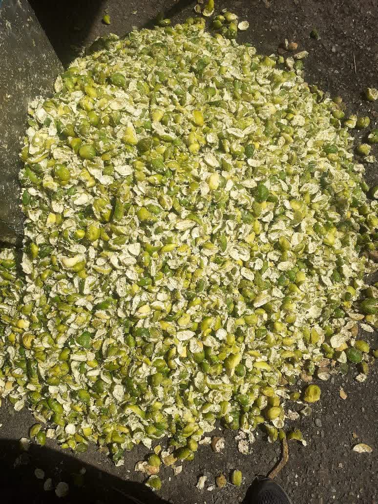 تفاله لیمو ارزان + قیمت