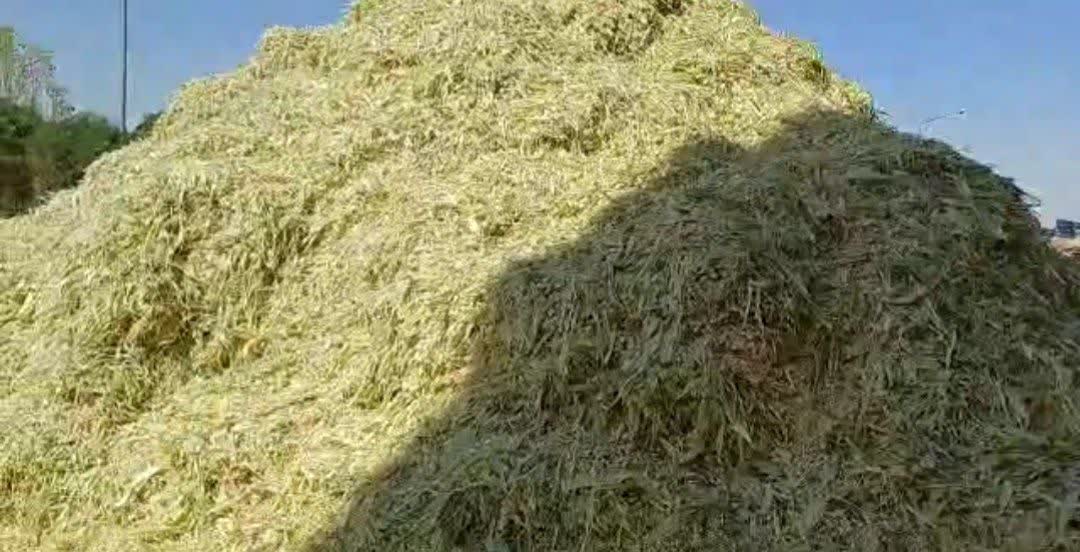 تفاله ذرت عمده