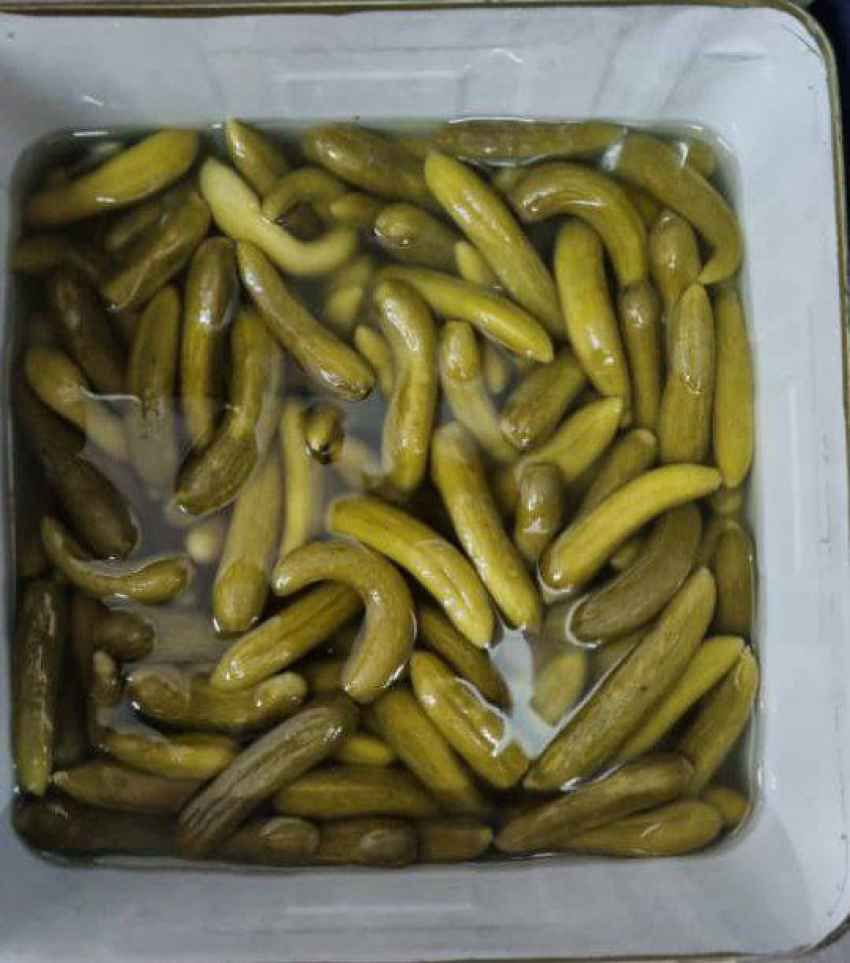 قیمت خیارشور سوپر ویژه حلب ترد