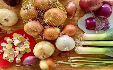 خرید عمده پیاز تازه + ارسال مستقیم از مزارع جنوب کشور