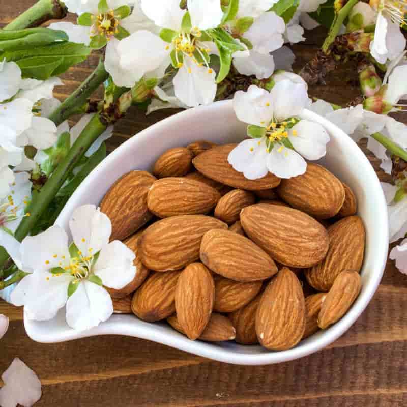 قیمت خرید بادام شاهرودی + فروش ویژه