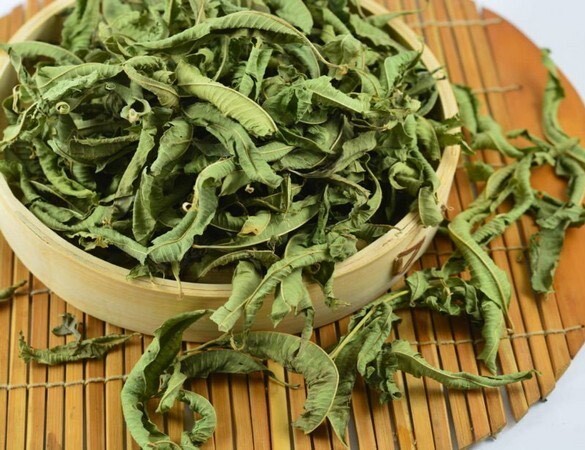 خرید و فروش عمده به‌ لیمو برگ صادراتی با عطری دلنشین و خواص دارویی