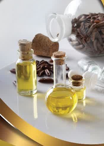 خرید و خواص روغن هسته خرما + فروش عمده با سیب سلامت
