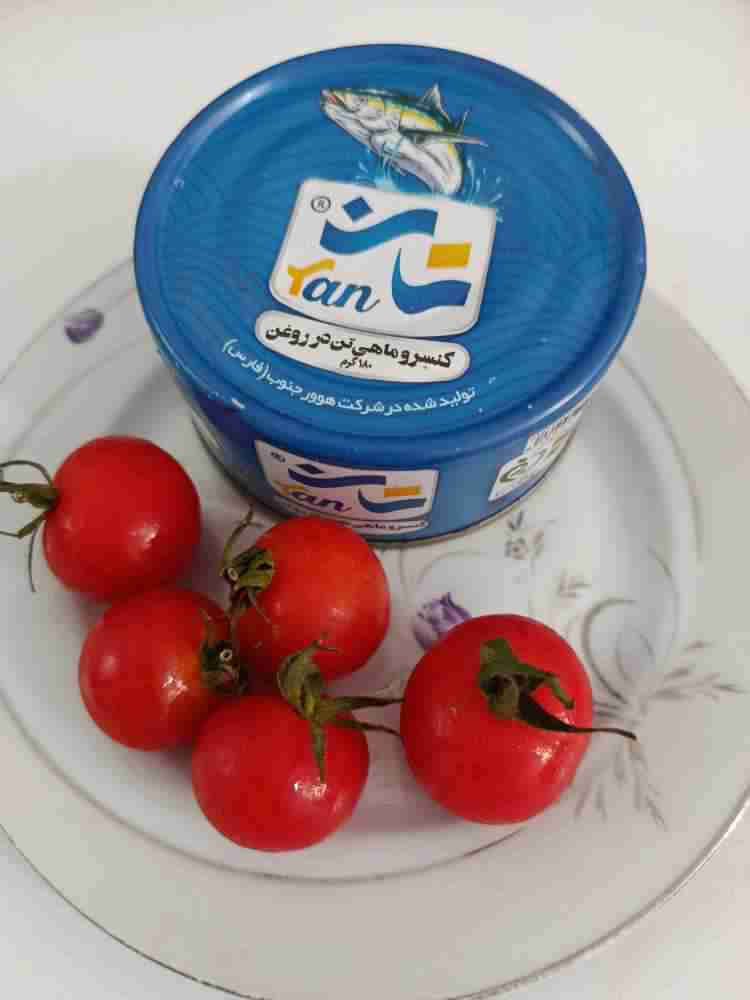 خرید تن ماهی هوور ۱۸۰ گرمی + قیمت روز بازار ایران