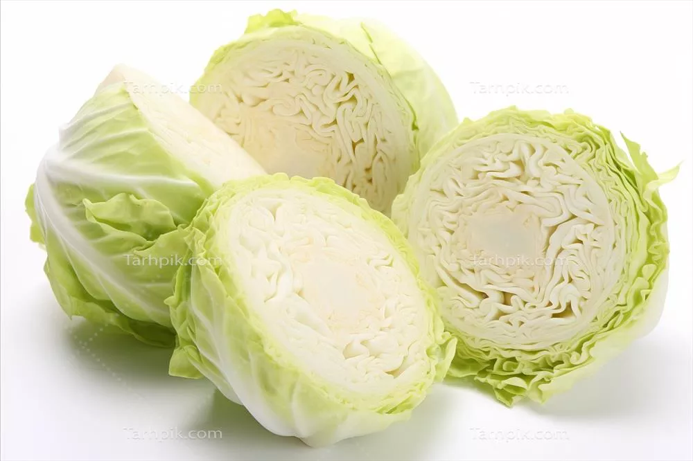 خرید فوری کلم سفید صادراتی + فروش ویژه