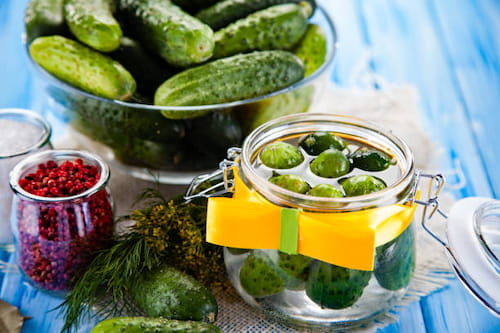 قیمت خرید خیارشور فله همدان با فروش عمده