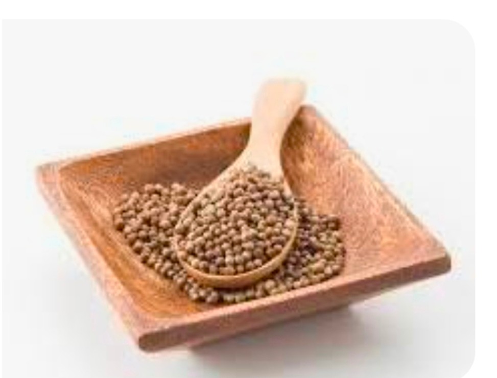 خرید بذر گشنیز تازه و ارزان آناهیتا در استان مازندران