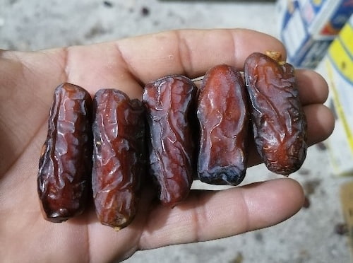 قیمت خرید خرما پیارم فله + فروش ویژه