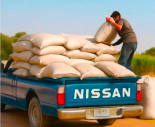 قیمت خرید بذر گشنیز خشک + فروش