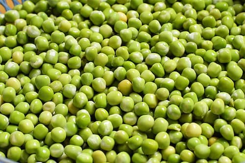 قیمت خرید کنسرو نخود فرنگی + فروش ویژه