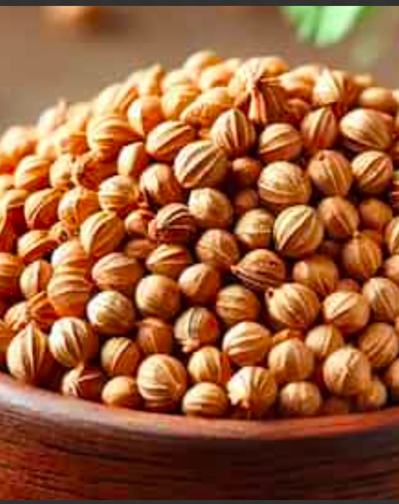 خرید بذر گشنیز در زنجان + خشک تازه