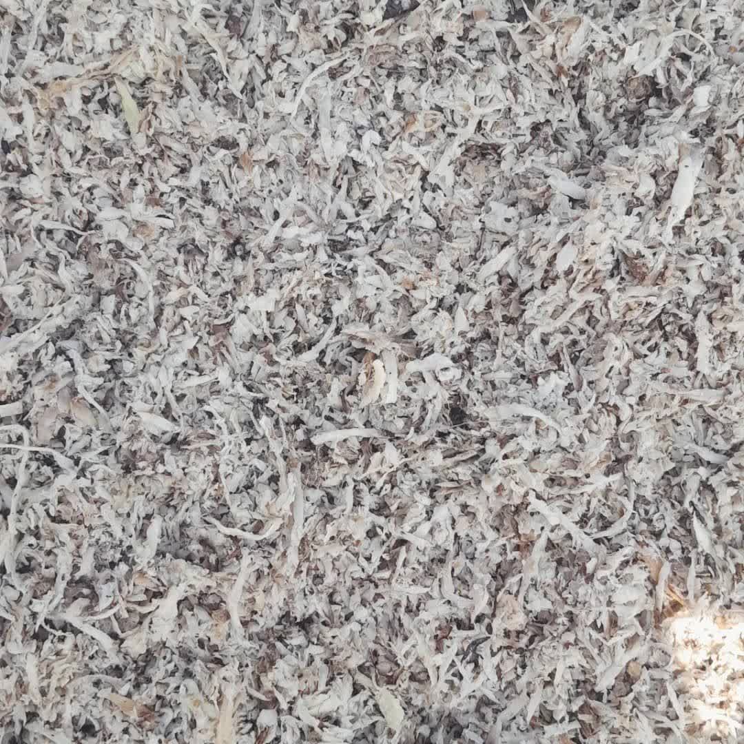 فروش تفاله خشک چغندر قند