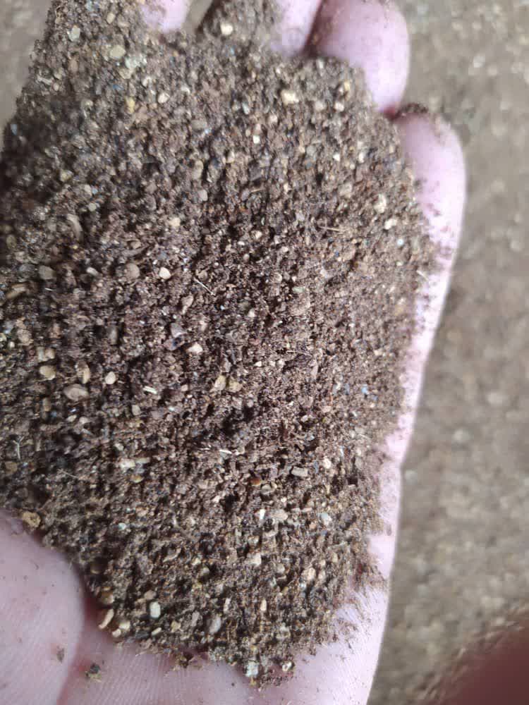 تفاله خشک ارزان