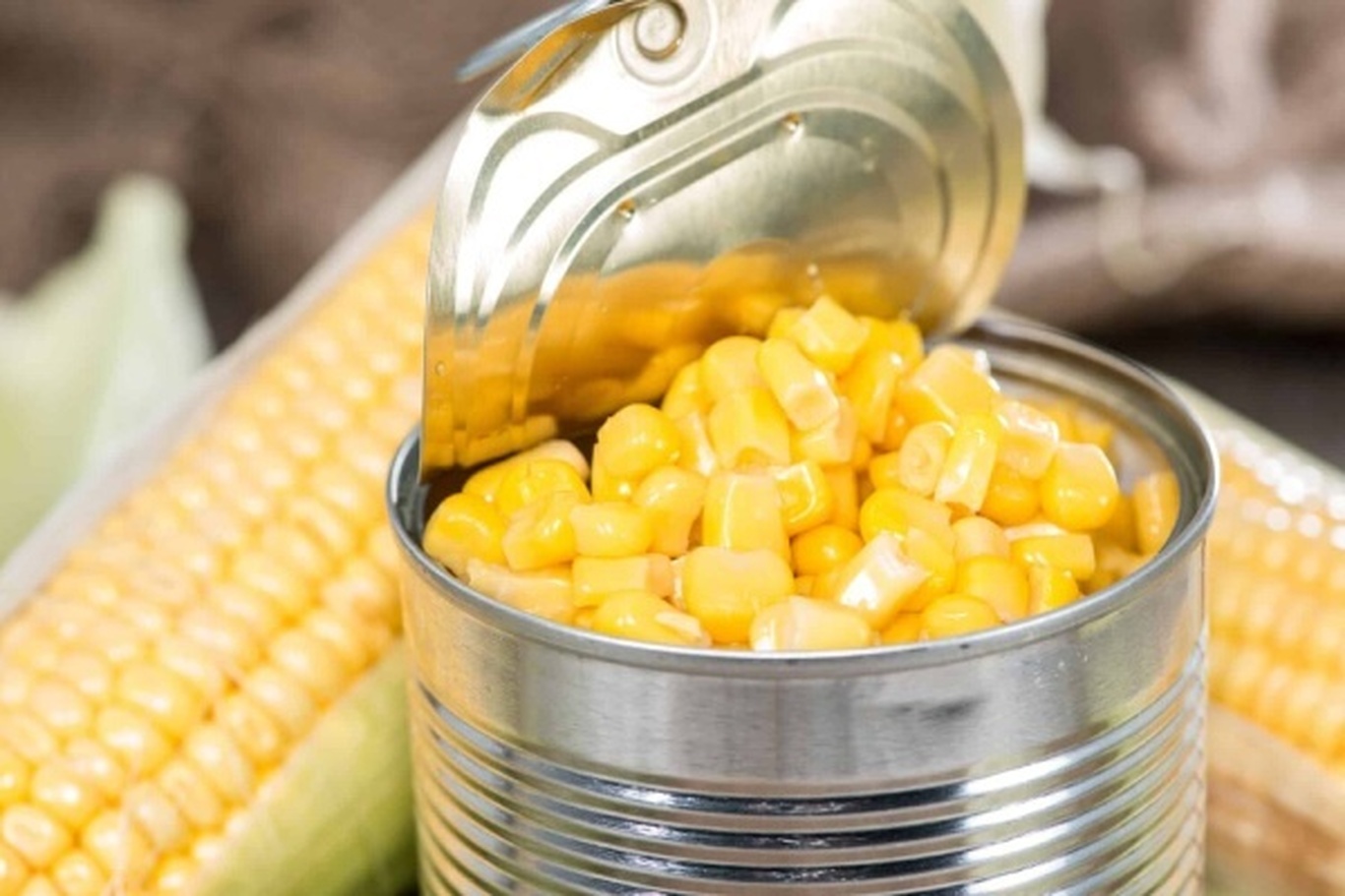 تصویر 1 از کنسرو ذرت شیرین تازه پر طرفدار در صنایع غذایی