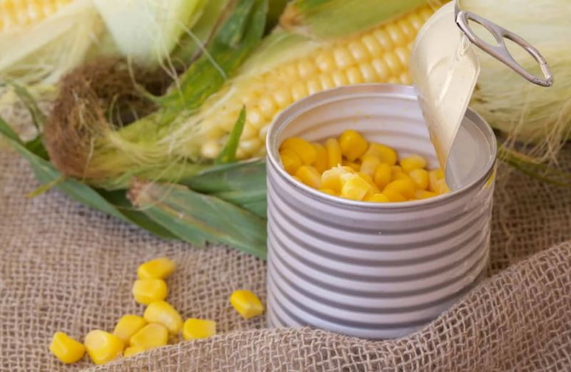 تصویر 3 از کنسرو ذرت شیرین تازه پر طرفدار در صنایع غذایی