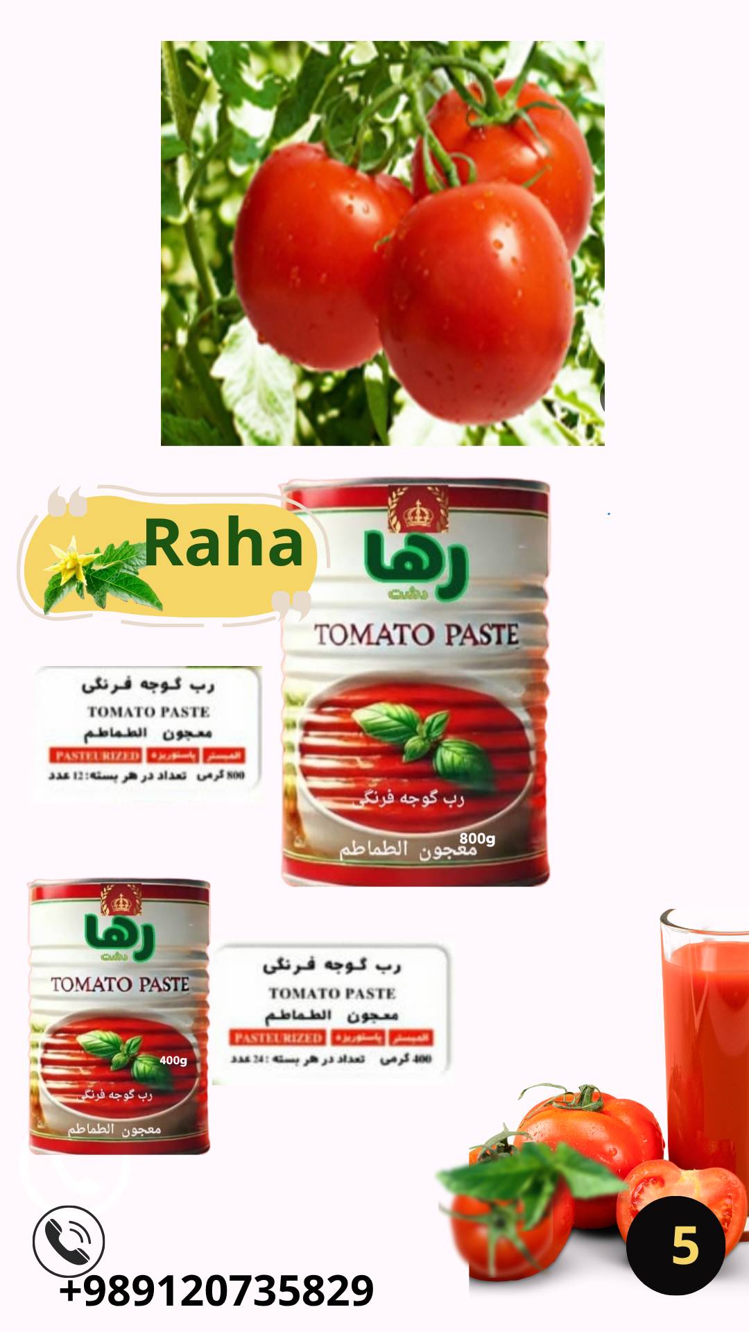 خرید رب گوجه فرنگی ۸۰۰ گرمی درب آسان باز شو + عرضه آنلاین