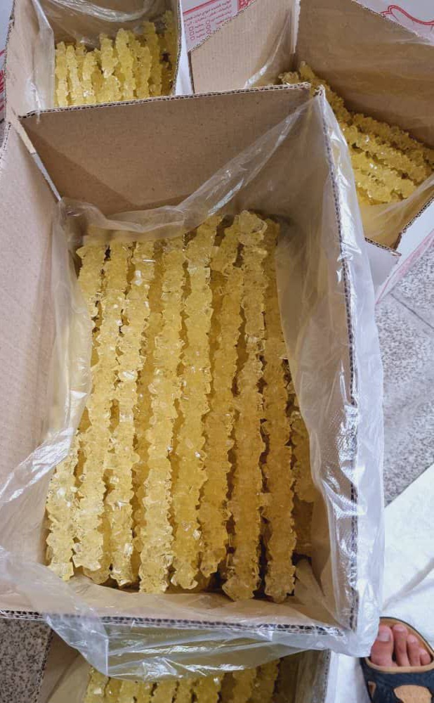 خرید عمده نبات شاخه ای شکرستان + قیمت باورنکردنی