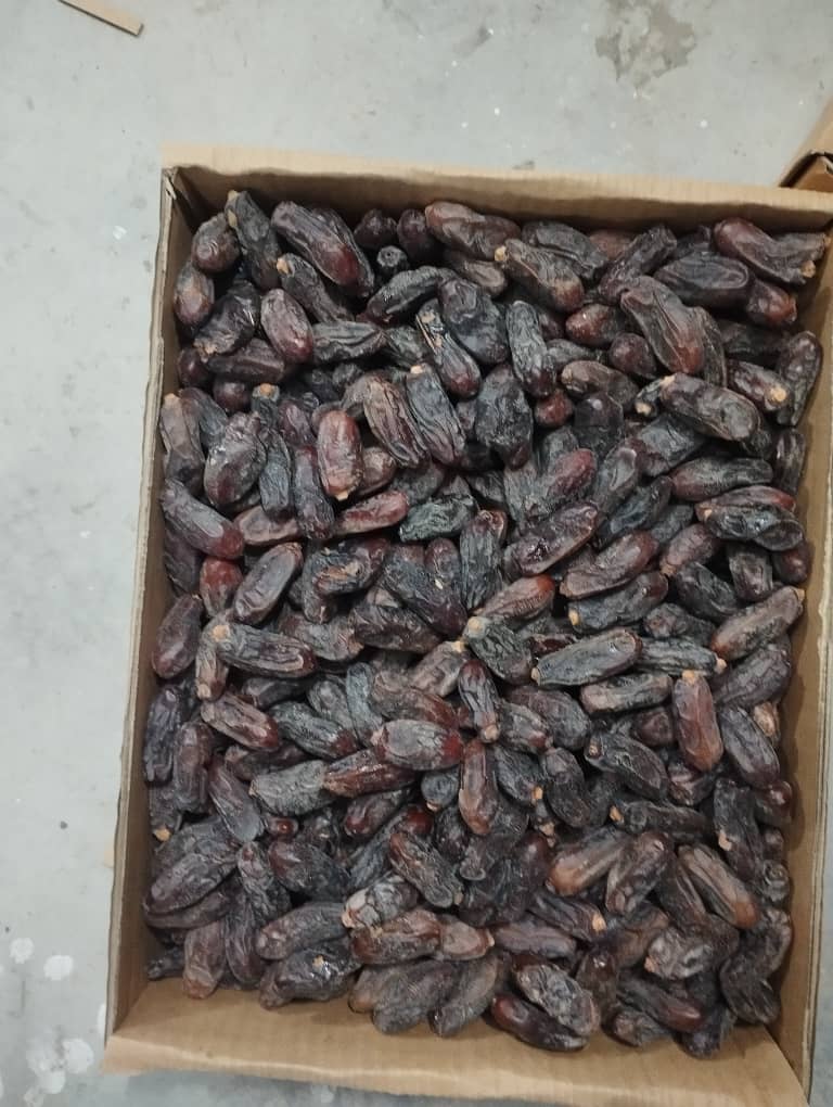 فروش ویژه خرمای ربی سیستان و بلوچستان + قیمت مناسب