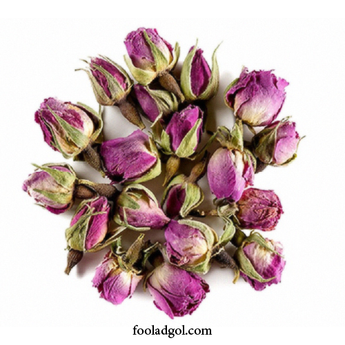 فروش عمده غنچه گل محمدی صادراتی با شرکت فولاد گل