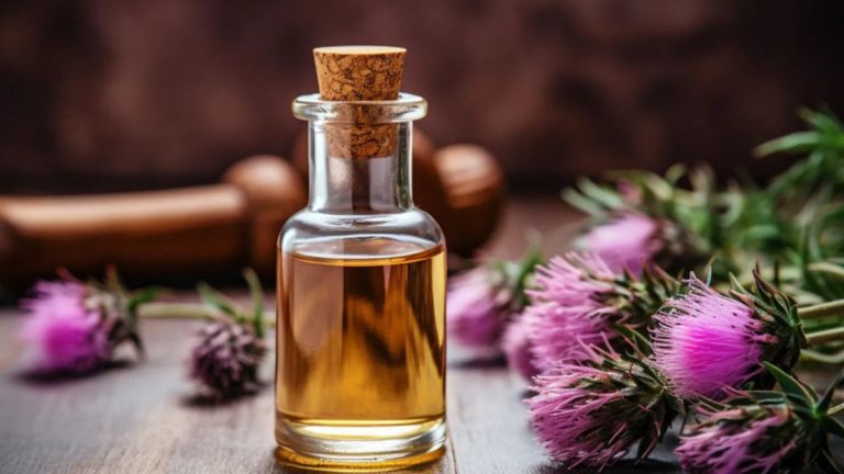 خرید عمده روغن خار مریم اصل
