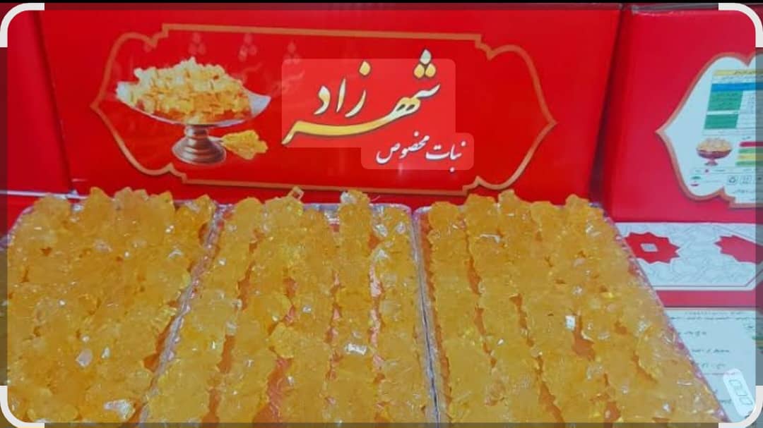 خرید عمده نبات شاخه ای شهرزاد