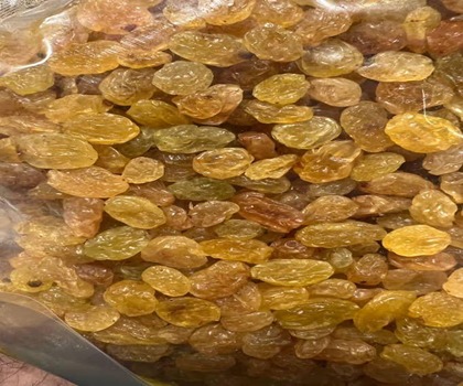 خرید کشمش مات درجه دو