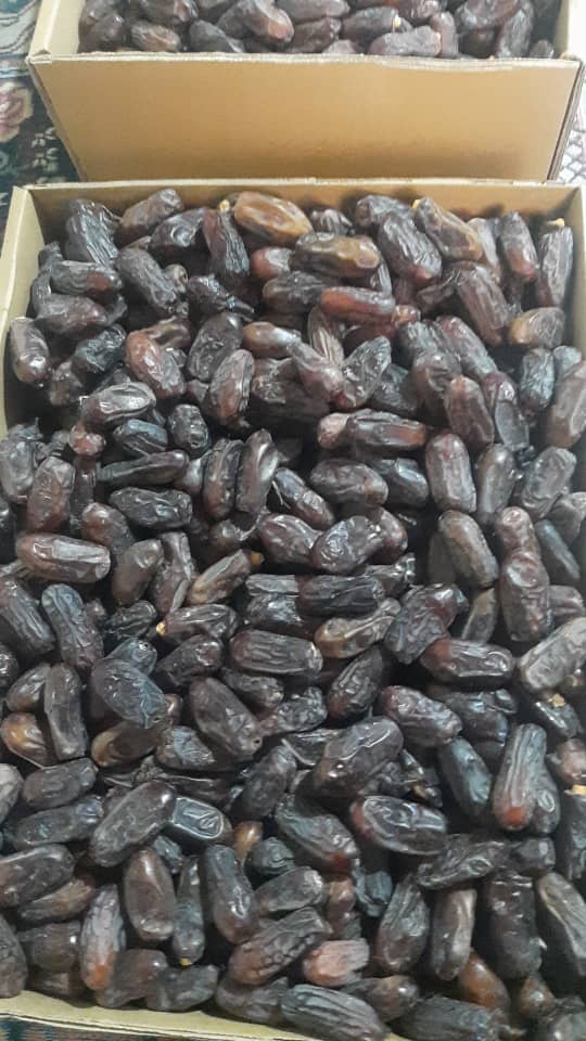 قیمت خرید خرما ربی با فروش عمده
