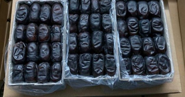 مرکز خرید خرمای مضافتی بم + فروش ویژه
