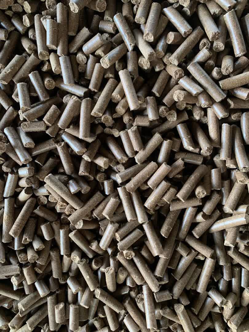 تفاله خشک چغندر ارزان