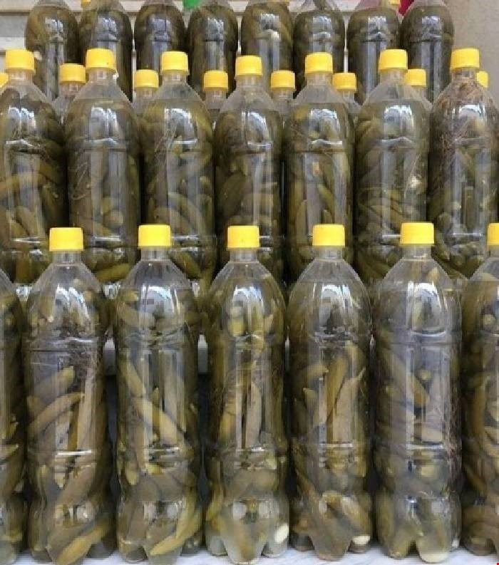 فردش ویژه خیارشور سوپر ویژه بطری + عمده و ارزان