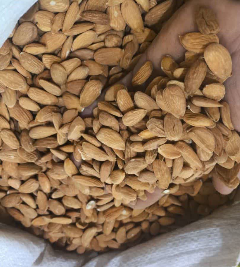 فروش مغز بادام سنگی مرغوب + قیمت استثنایی