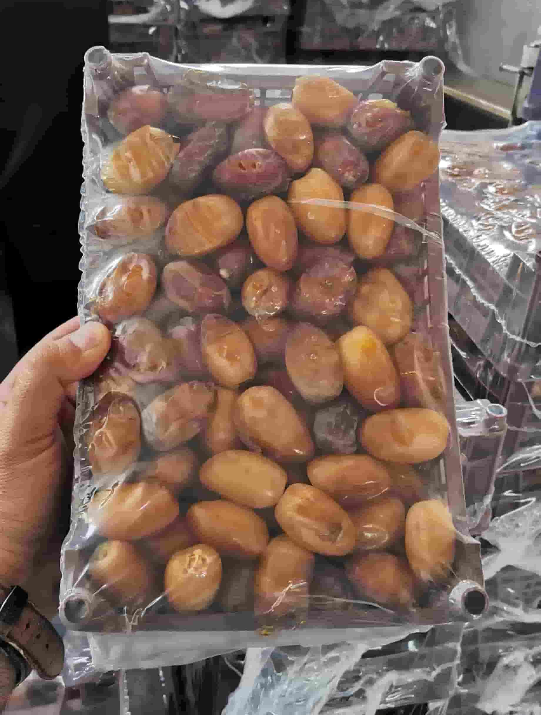 قیمت عمده خرما عسلی خشت