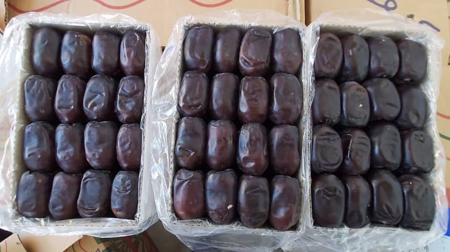 قیمت خرما مضافتی بم + فروش عمده بدون واسطه