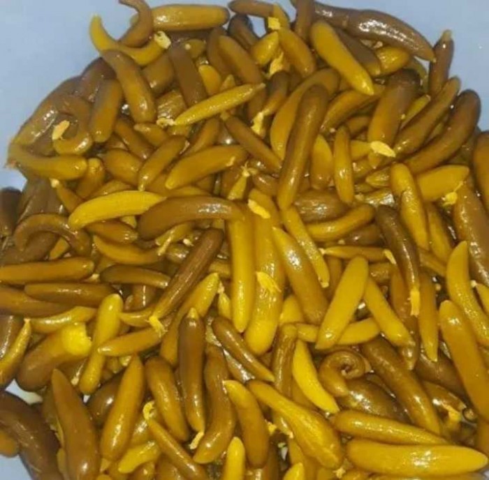 خیارشور خانگی درجه یک + قیمت روز