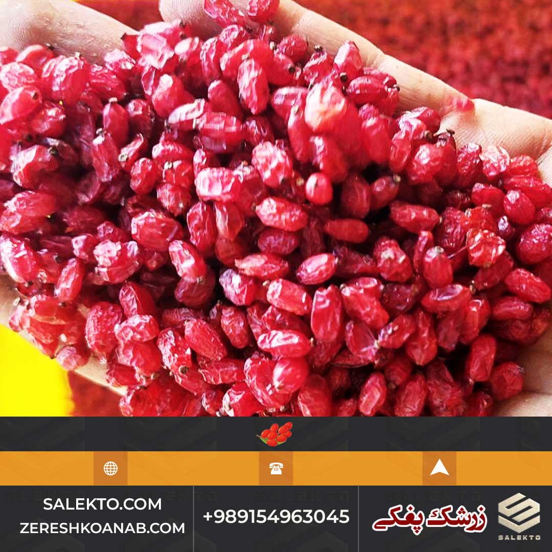 زرشک پفکی ارگانیک خراسان جنوبی مناسب تاجران و صادر کنندگان
