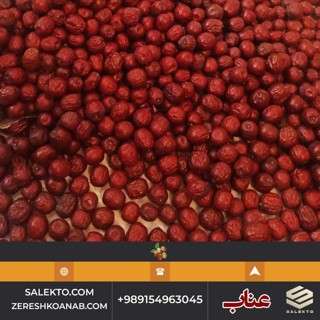 عناب خشک ممتاز خراسان جنوبی با طعم شیرین و خواص دارویی + خرید مقرون به صرفه