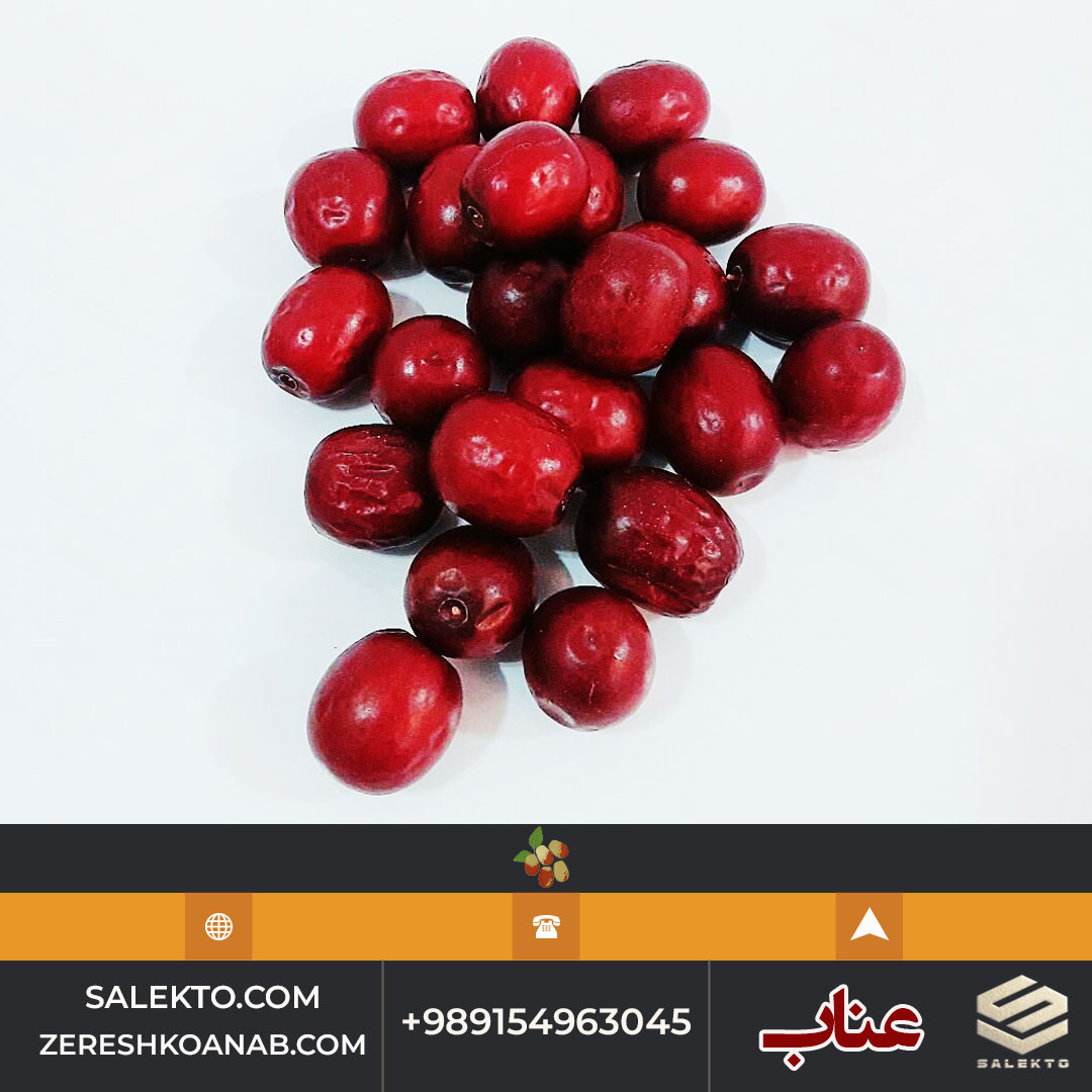 عناب خشک پر گوشت قائنات با بسته‌ بندی و ارسال سریع