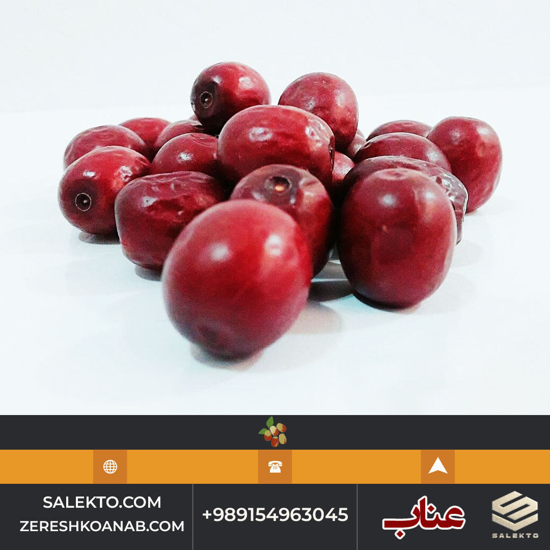 خرید عناب خشک سالکتو برای دمنوش و حبه عناب